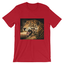 Leopard t-shirt