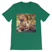 Dog t-shirt
