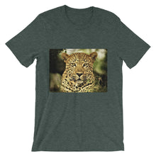 Leopard t-shirt