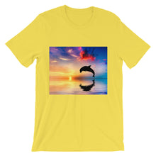 Dolphin t-shirt