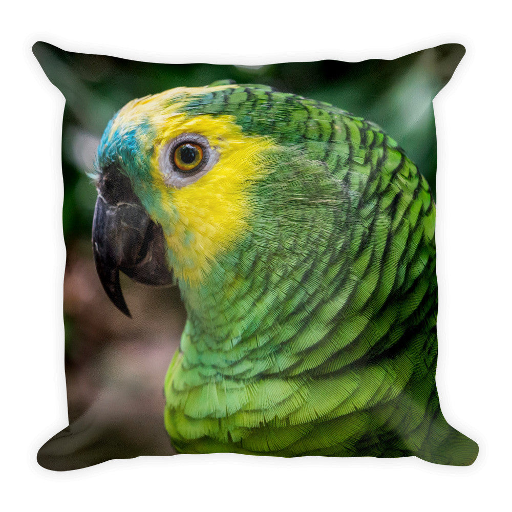 Macaw Pillow