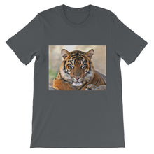 Tiger t-shirt