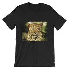 Leopard t-shirt