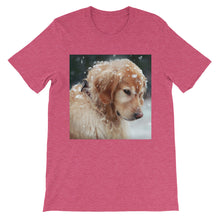 Dog t-shirt