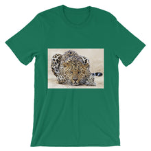 Leopard t-shirt