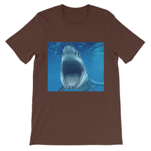 Shark t-shirt