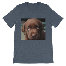 Puppy t-shirt