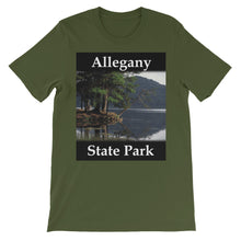 Allegany State Park t-shirt