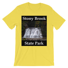 Stony Brook t-shirt