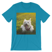 Dog t-shirt