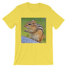 Chipmunk t-shirt