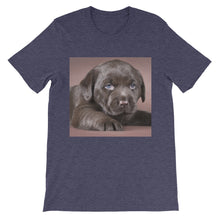 Puppy t-shirt