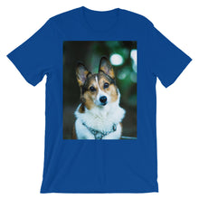 Corgi t-shirt