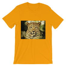 Leopard t-shirt