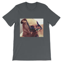 Dog with glasses t-shirt