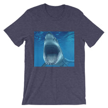Shark t-shirt