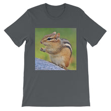 Chipmunk t-shirt