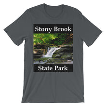 Stony Brook t-shirt