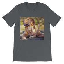 Dog t-shirt