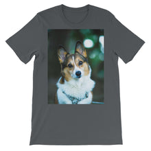 Corgi t-shirt