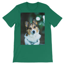 Corgi t-shirt