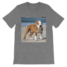 Dog t-shirt