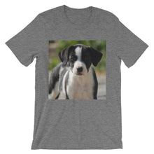 Dog t-shirt