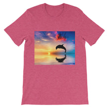 Dolphin t-shirt