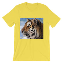 Tiger t-shirt