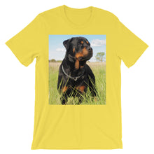 Rottweiler t-shirt