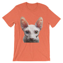 Cat t-shirt