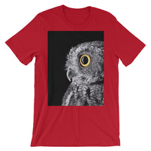 Owl t-shirt