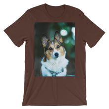 Corgi t-shirt
