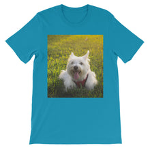 Dog t-shirt