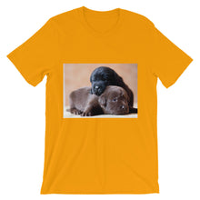 Puppies t-shirt