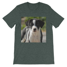 Dog t-shirt