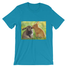 Rabbits t-shirt