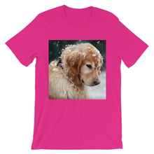 Dog t-shirt
