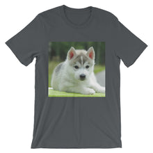Puppy t-shirt