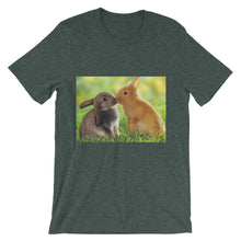 Rabbits t-shirt