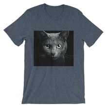 Cat t-shirt