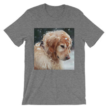 Dog t-shirt