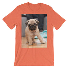 Pug t-shirt