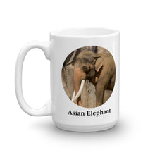 Asian Elephant Mug