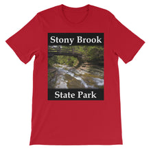 Stony Brook t-shirt