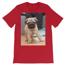 Pug t-shirt