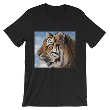Tiger t-shirt