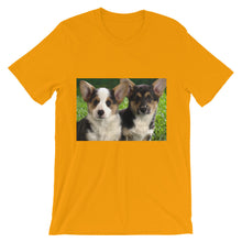 Corgis t-shirt