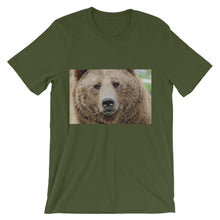 Bear t-shirt