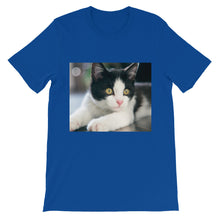 Kitten t-shirt